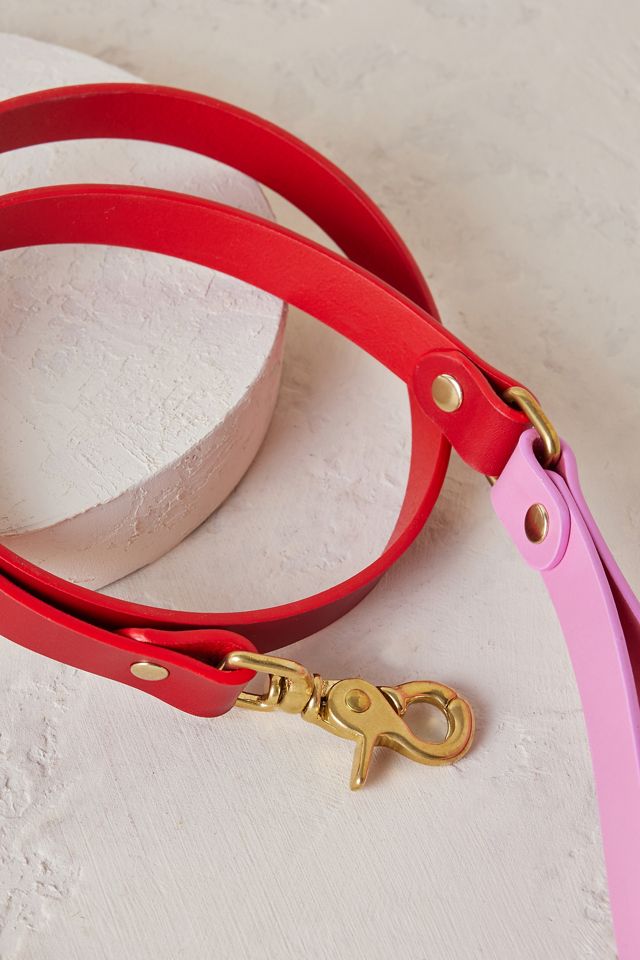 Rag & Paw Colourblock Dog Lead #1