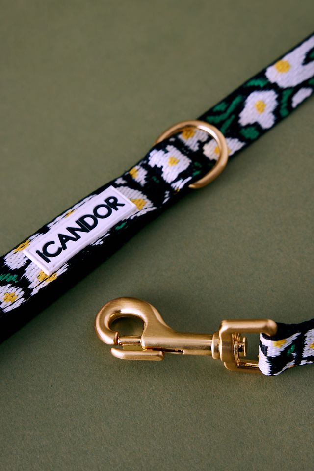 iCANDOR Grande Poisson Doux 2-Poignée Laisse pour Chien #1