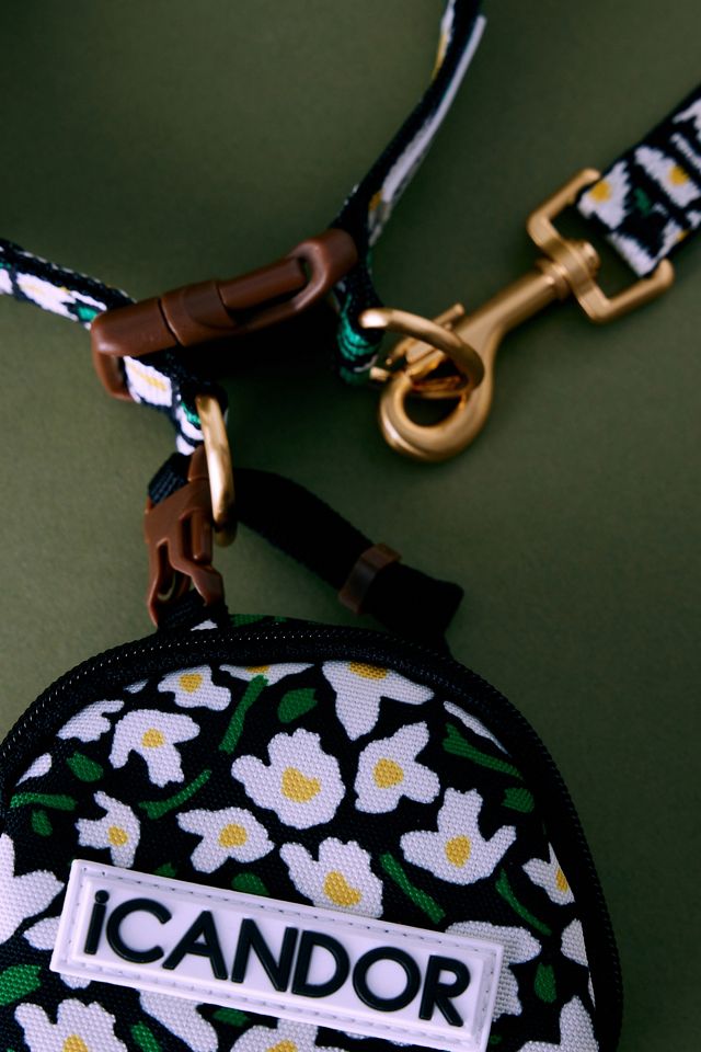 iCANDOR Grande Poisson Doux 2-Poignée Laisse pour Chien #2