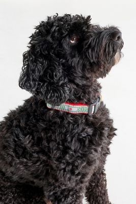 The Bistro Tile Holiday Dog Collar