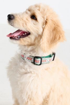 Bistro Tile Holiday Dog Collar