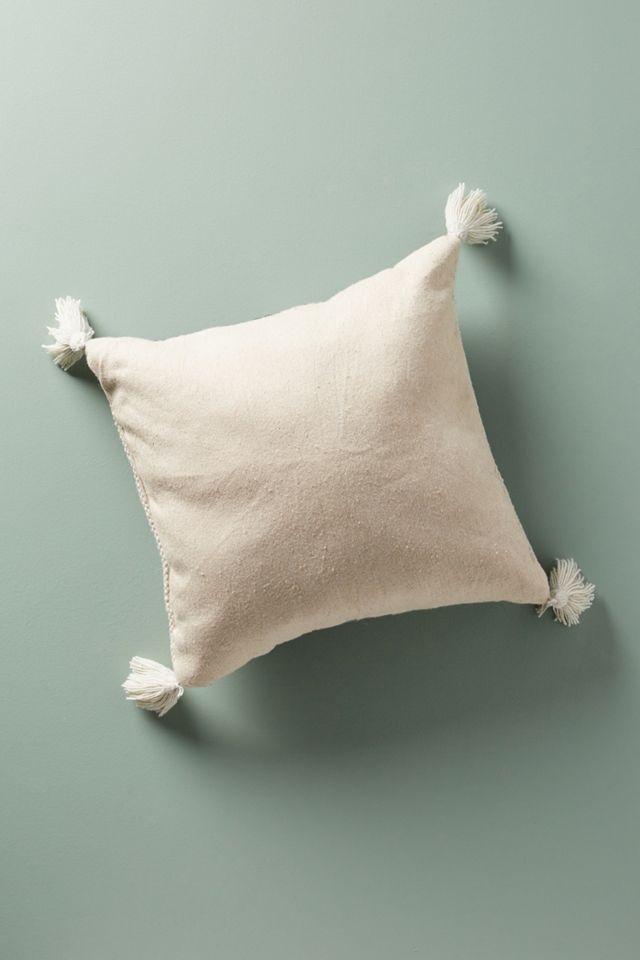 Integral Indoor/Outdoor Pillow #1