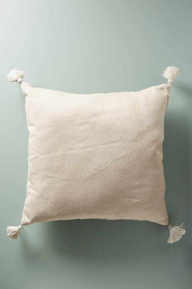 Integral Indoor/Outdoor Pillow #1