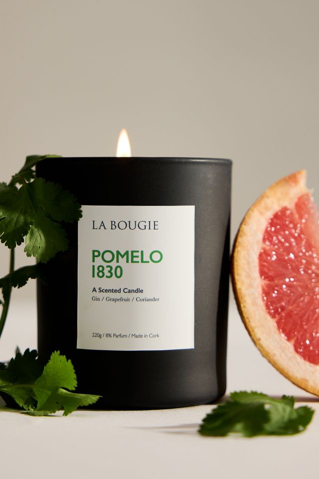 La Bougie Pomelo 1830 Candle #1