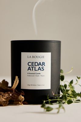 La Bougie Cedar Atlas Kerze