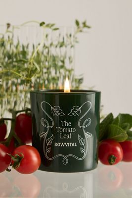 Sowvital La Candela in Vetro Foglia di Pomodoro
