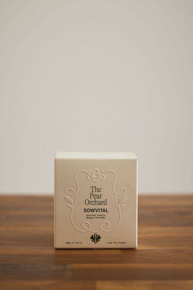 Sowvital Candela in Vetro The Pear Orchard #1