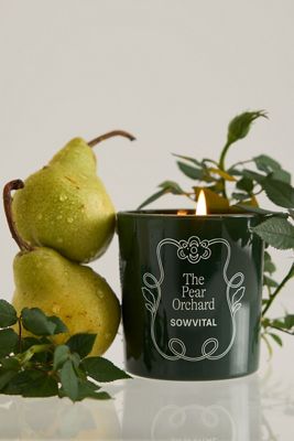 Sowvital The Pear Orchard Glass Candle