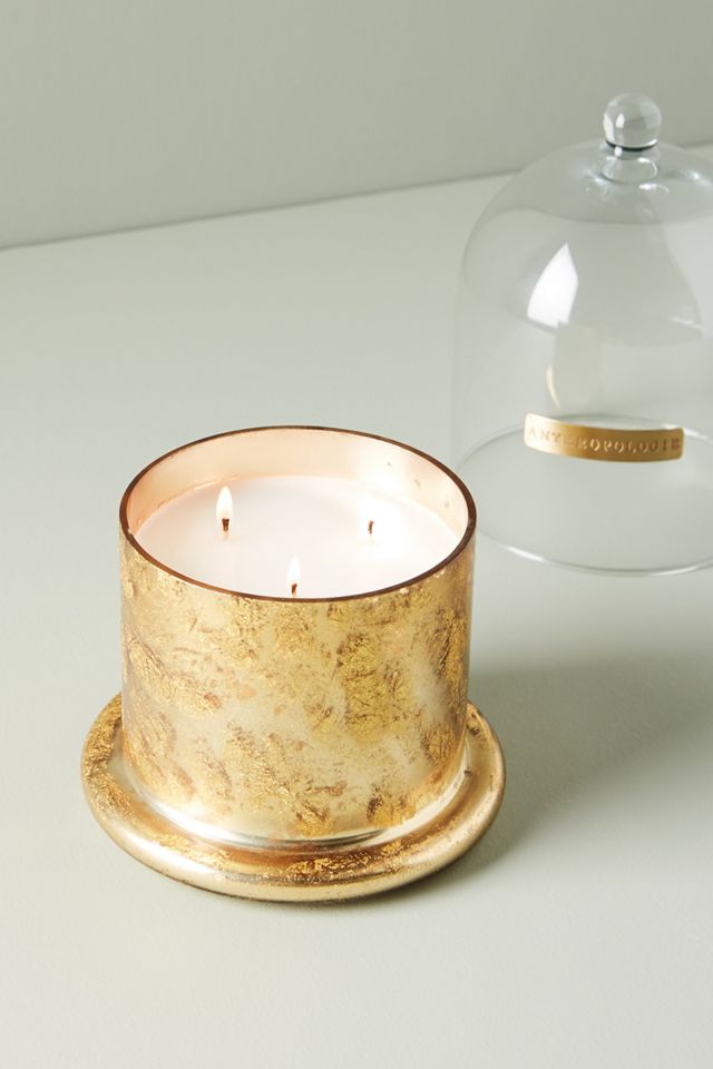 Siberian Fir Cloche + Candle #2