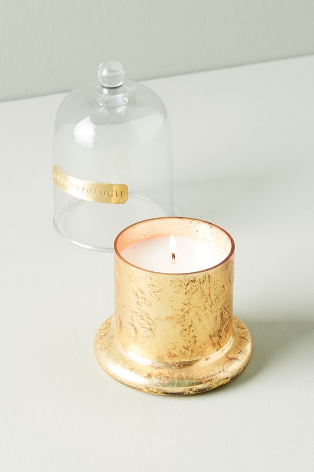Siberian Fir Cloche + Candle #1