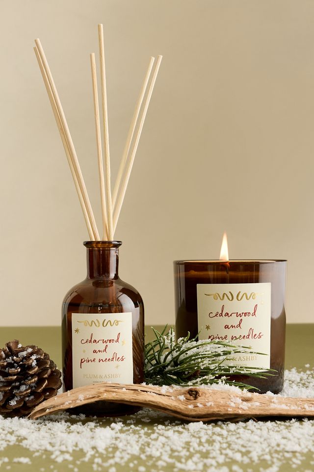 Plum & Ashby Cedarwood & Pine Needles Glass Candle #2