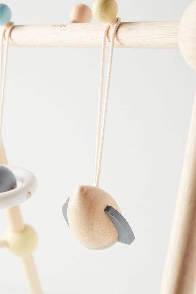 Plan Toys Play Gym #1