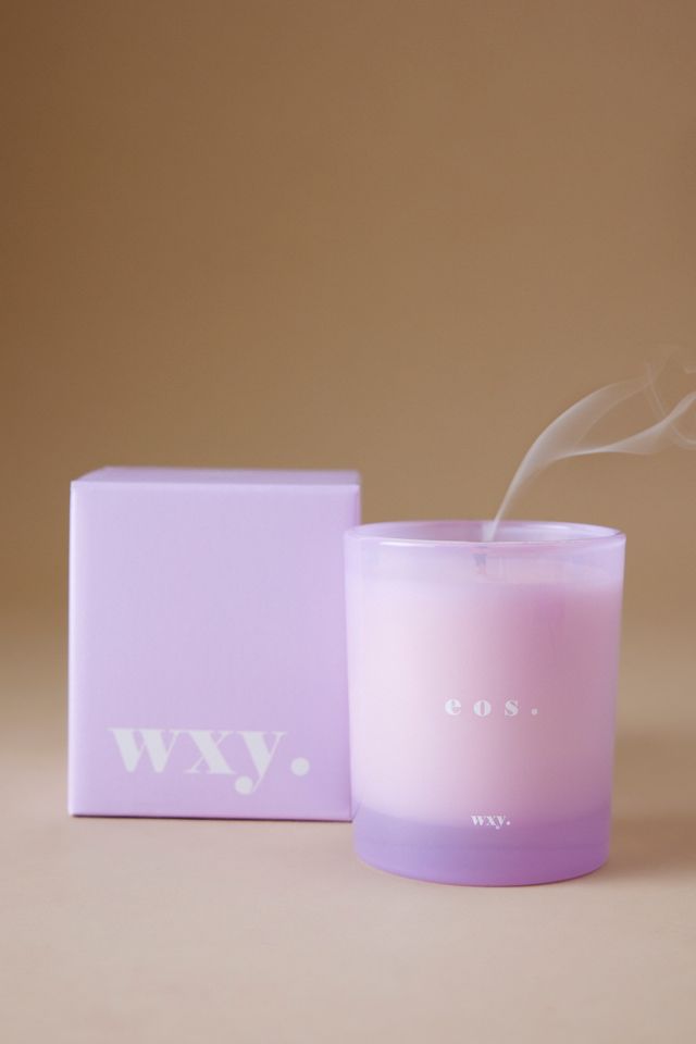 wxy. Vela Clásica de Raíz de Lirio y Ámbar #1