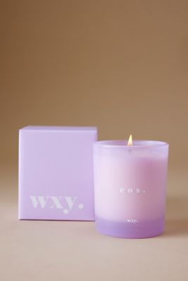 wxy. Vela Clásica de Raíz de Lirio y Ámbar