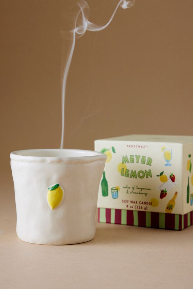 Vela de Cerámica Paddywax Bistro Meyer Limón #1