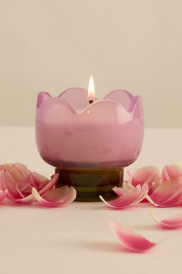 Paddywax Tulip Garden & Grove Glass Candle In Purple