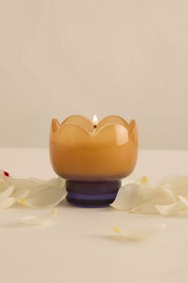 Paddywax Tulip Garden & Grove Glaskerze