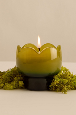 Paddywax Tulip Verbena & Lemongrass Glass Candle In Green