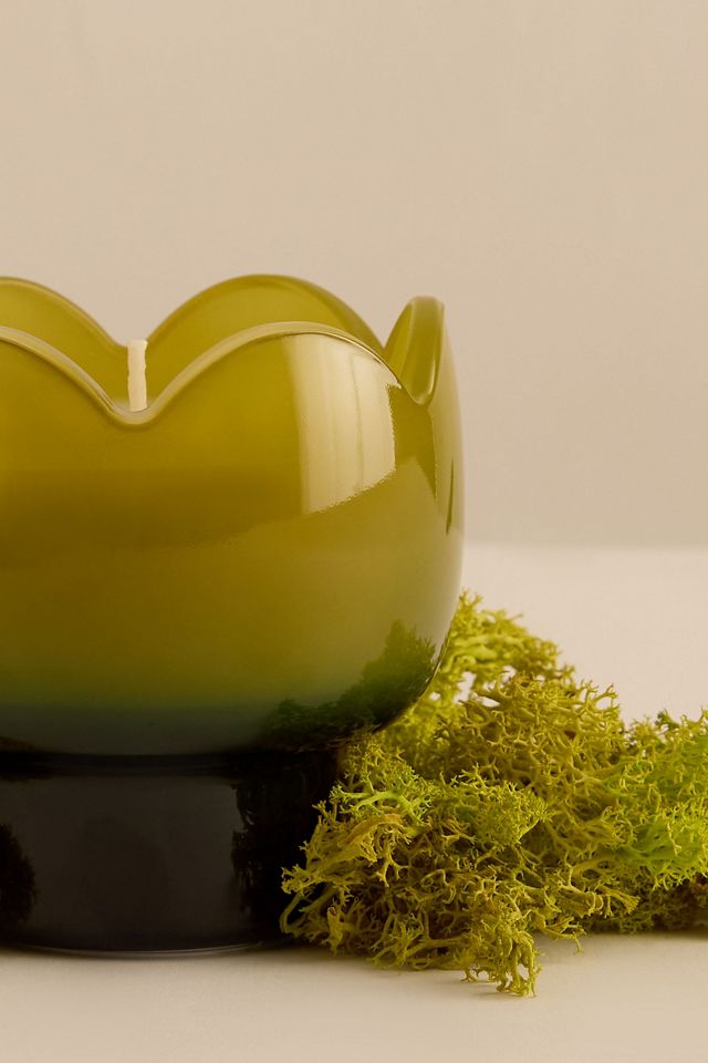 Paddywax Candela in Vetro Tulipano Verbena e Citronella #1
