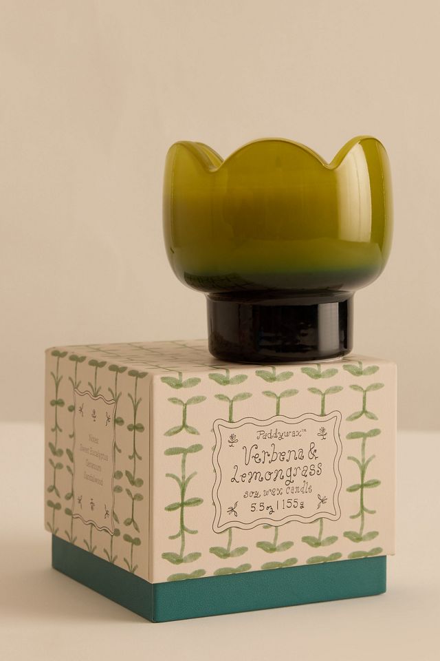 Paddywax Candela in Vetro Tulipano Verbena e Citronella #2