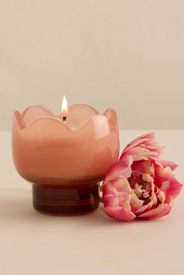 Paddywax Tulip Cactus Flower Glass Candle In Pink