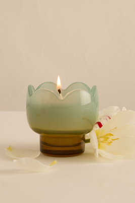 Paddywax Tulip Wisteria & Willow Glass Candle In Green