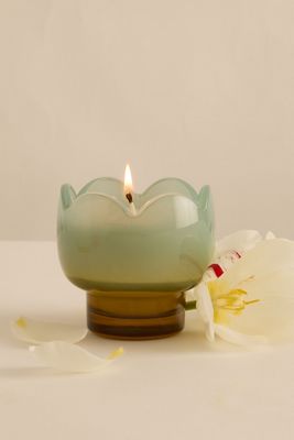 Candela in Vetro Paddywax Tulip Wisteria & Willow