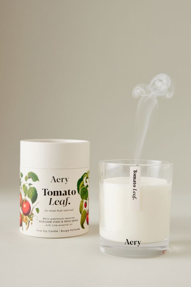 Aery Tomato Leaf Glass Candle #1