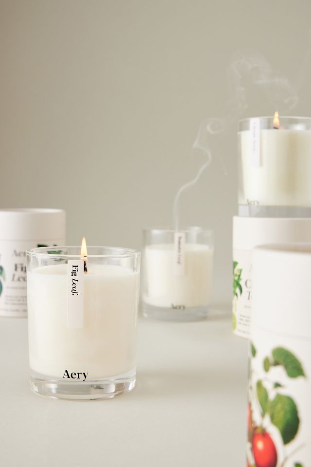 Aery Tomato Leaf Glass Candle | Anthropologie UK