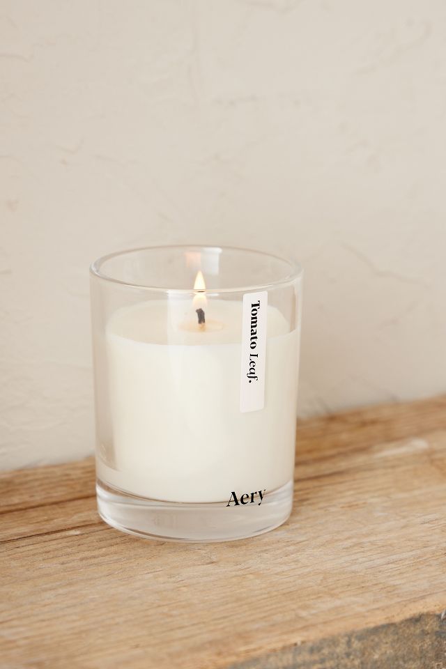 Aery Tomato Leaf Glass Candle | Anthropologie UK