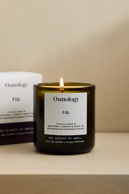Candela in Vetro Utility Fig Osmology