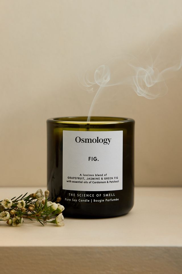 Candela in Vetro Utility Fig Osmology #1