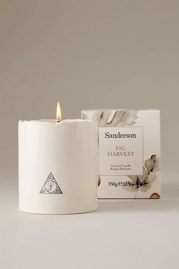 Sanderson Fig Harvest Woody Ceramic Candle