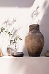 Amber Lewis for Anthropologie Amphora Vase #9