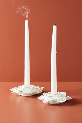 Porcelain Succulent Taper Holder