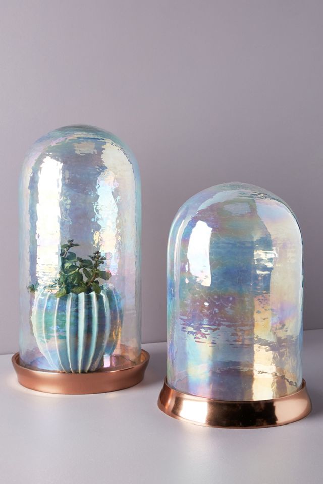 Iridescent Glass Cloche #6