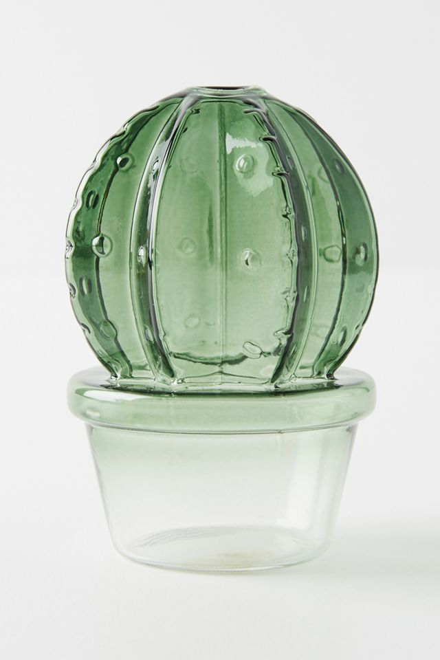 Cactus Vase #1