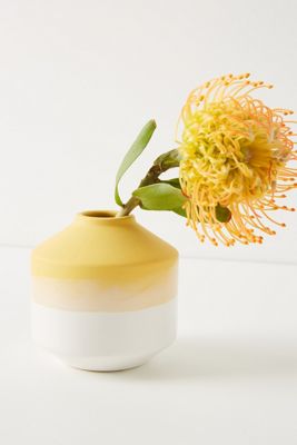 Sasha Vase