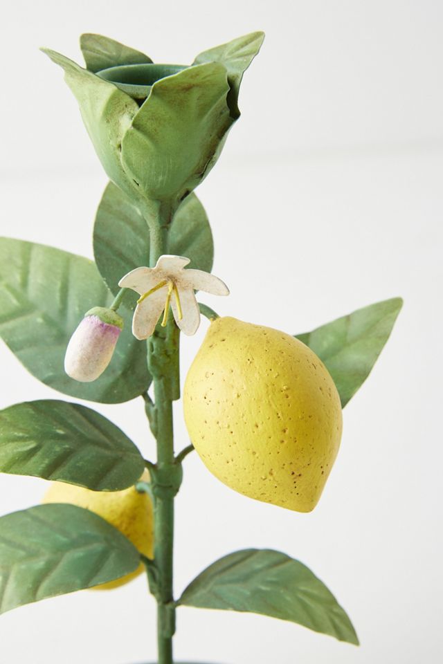 Lemon Taper Candlestick #4