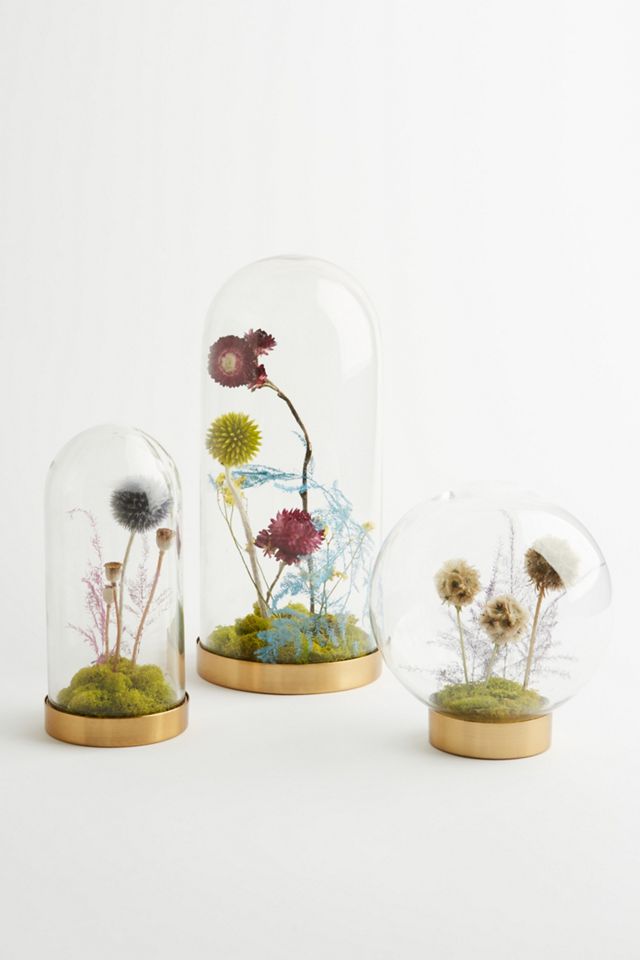Thistle Poppy Pods Cloche #1