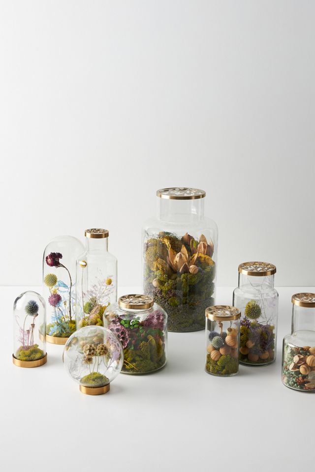 Thistle Poppy Pods Cloche #2