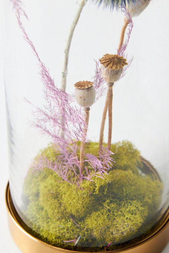Thistle Poppy Pods Cloche #3