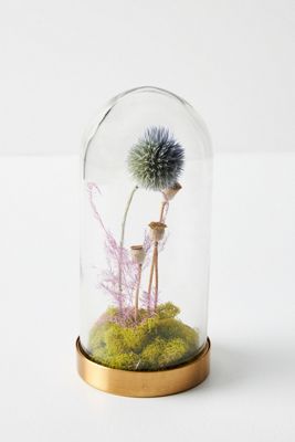 Floral Curiosity Cloche