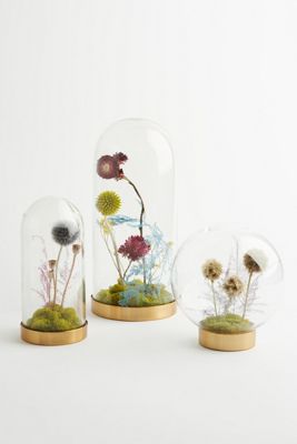 Floral Curiosity Cloche