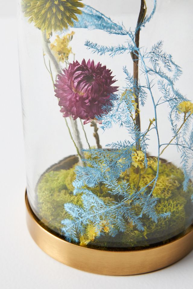 Floral Curiosity Cloche #2