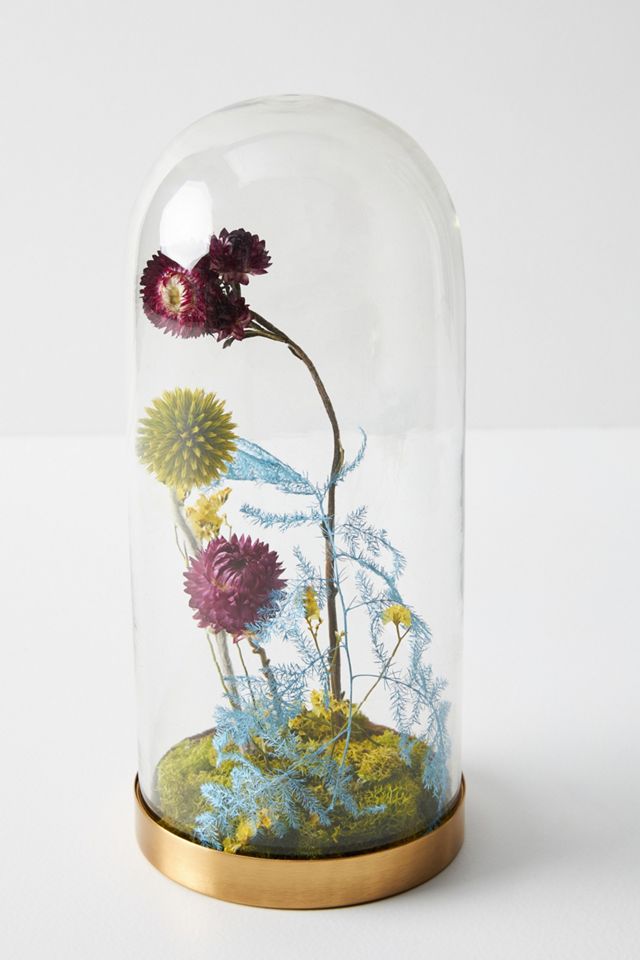 Floral Curiosity Cloche #1