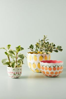 Tutti Pot