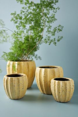 Sonny Pot