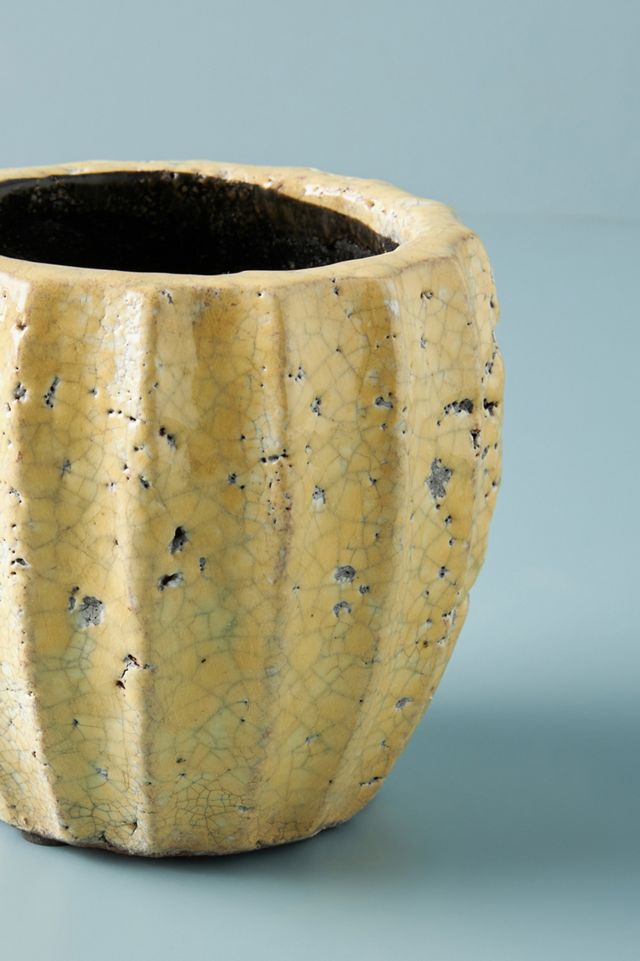 Sonny Pot #2