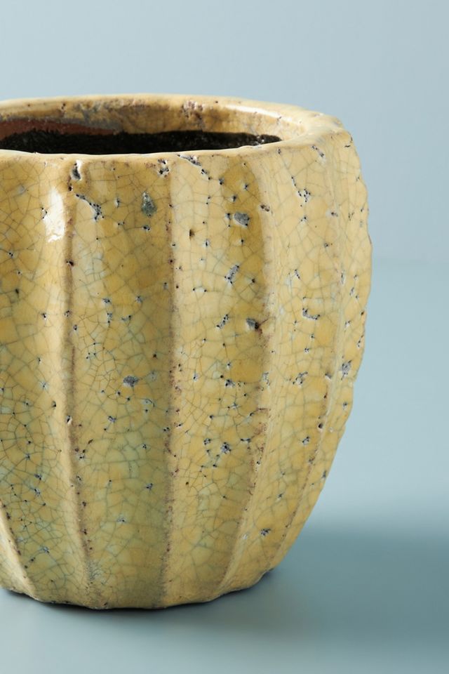 Sonny Pot #4